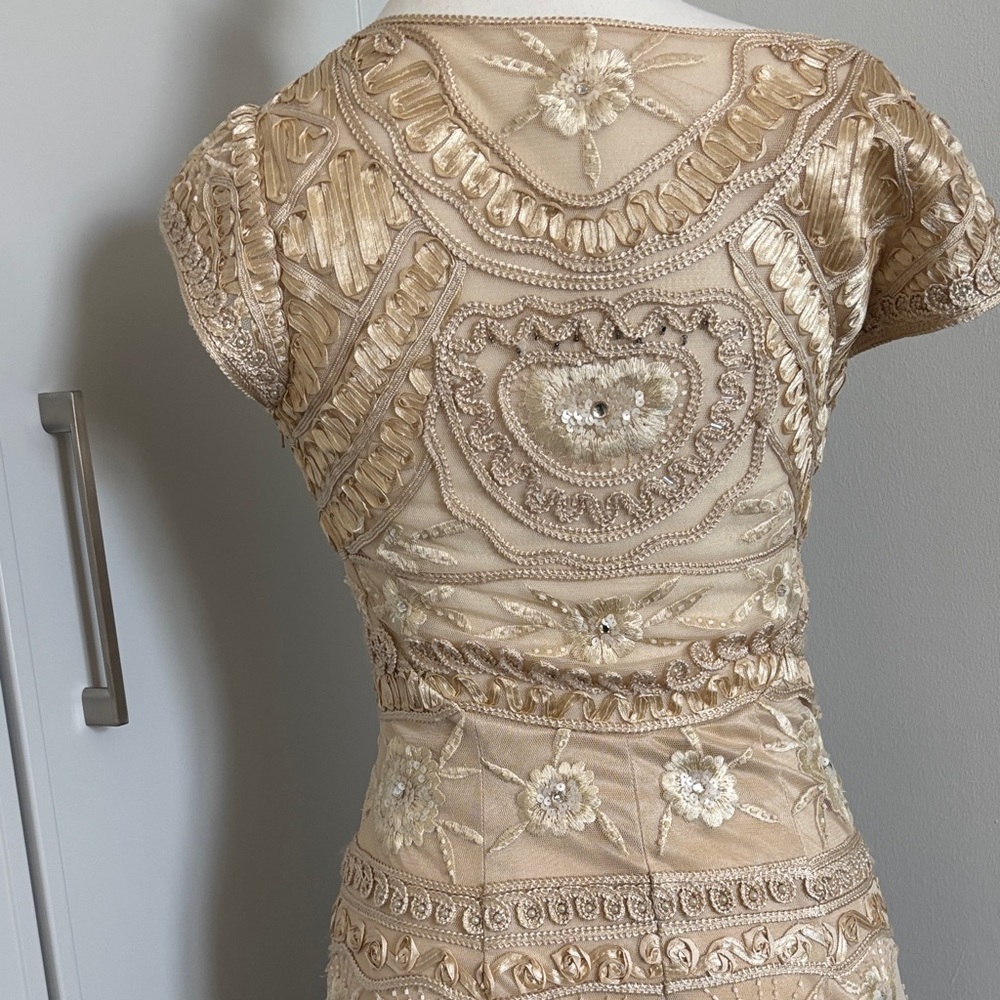 Sue Wong Beige Lace Mini Dress - Picture 6 of 11